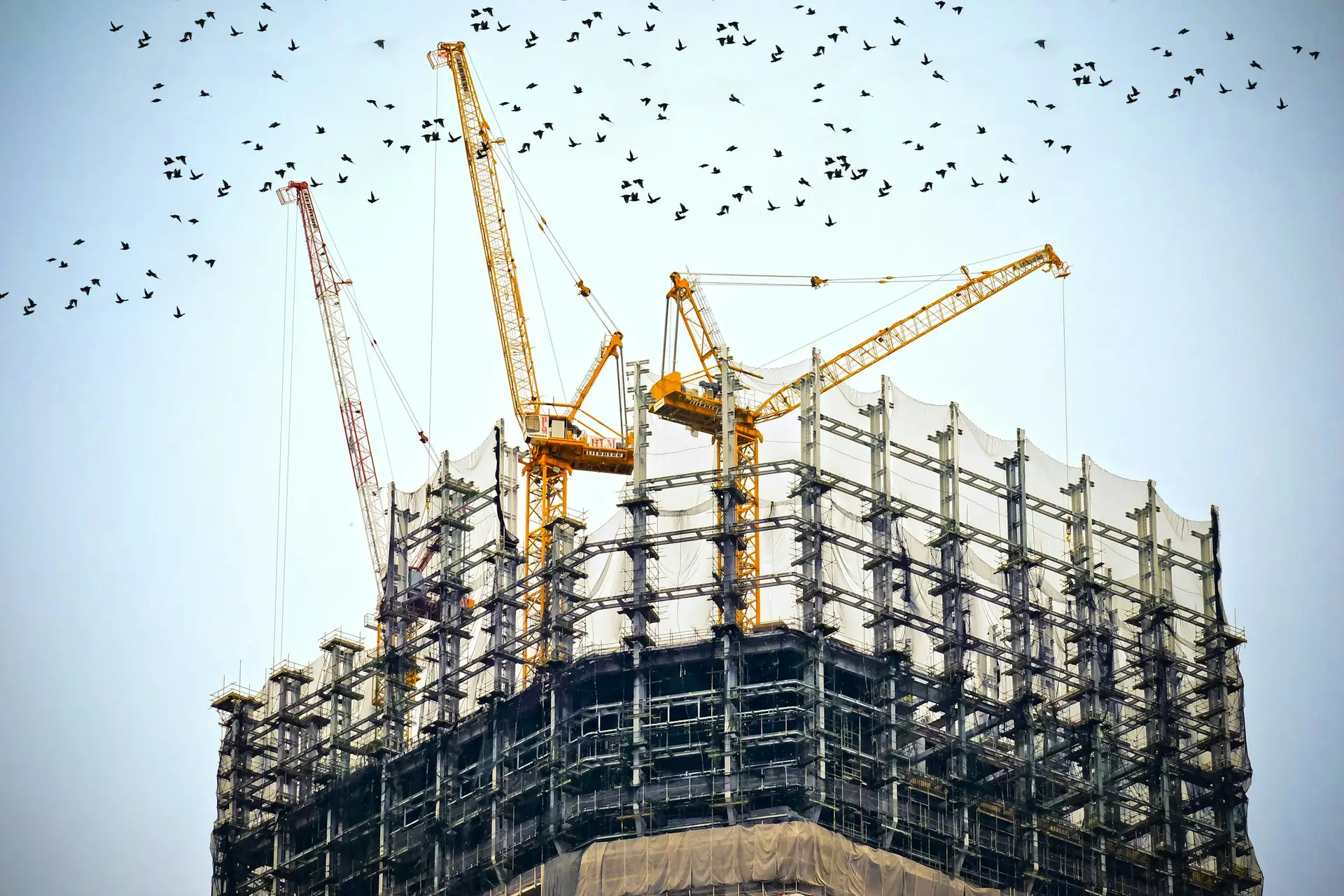 Structural frame of a building under construction